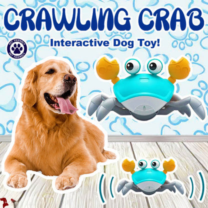 Crawling Crab - Interactive Dog Toy