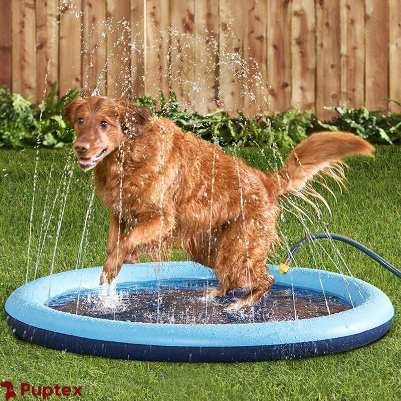 Sprinkly - Dog Sprinkler Pool